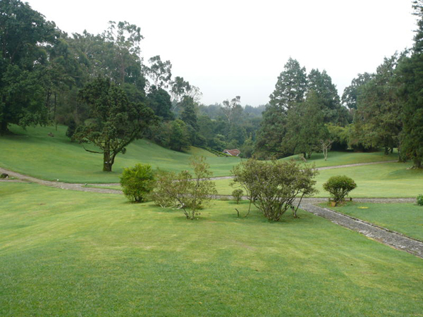 aP1110331