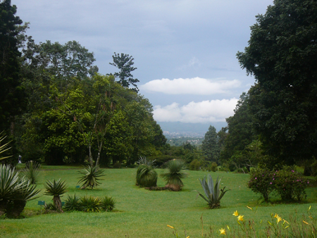 Afternoon at Botanical Garden