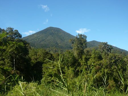 Gunung Pangrango