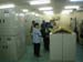 Bird Collection at LIPI