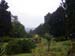 Morning in Botanical Garden