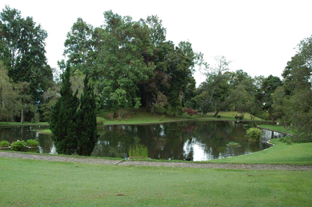 A lake