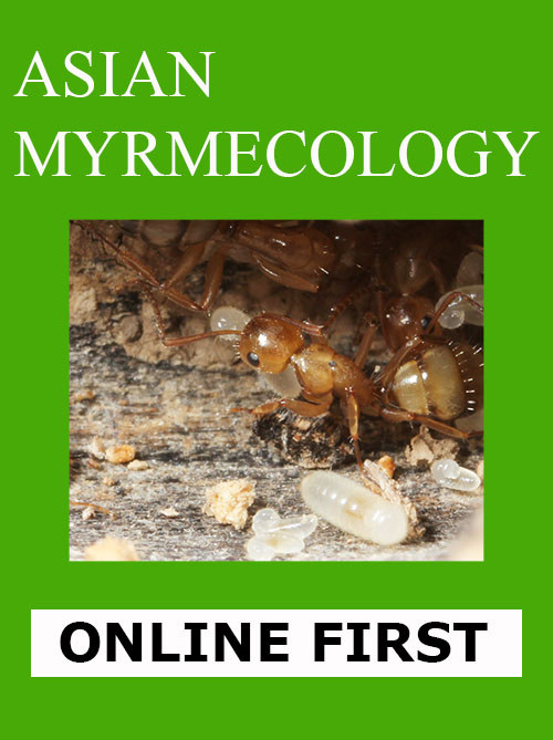 Online First